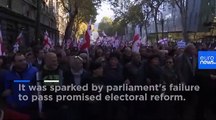 Tbilisi protests: Why do tens of thousands of Georgians want early elections?