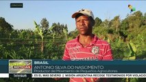 Brasil: los revolucionarios sistemas de agrofloresta del MST