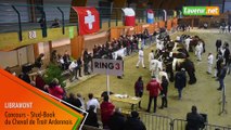 Concours national de chevaux de Trait Ardennais à Libramont
