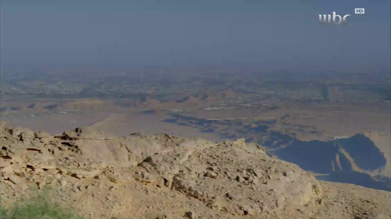 مدينة العين.. إيجاد بقايا أقدم مساجد الإمارات