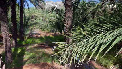 استخدام الثعابين كرمز للخصوبة أمر شائع في جميع أنحاء الشرق الأوسط.. جولة في تاريخ مسافي