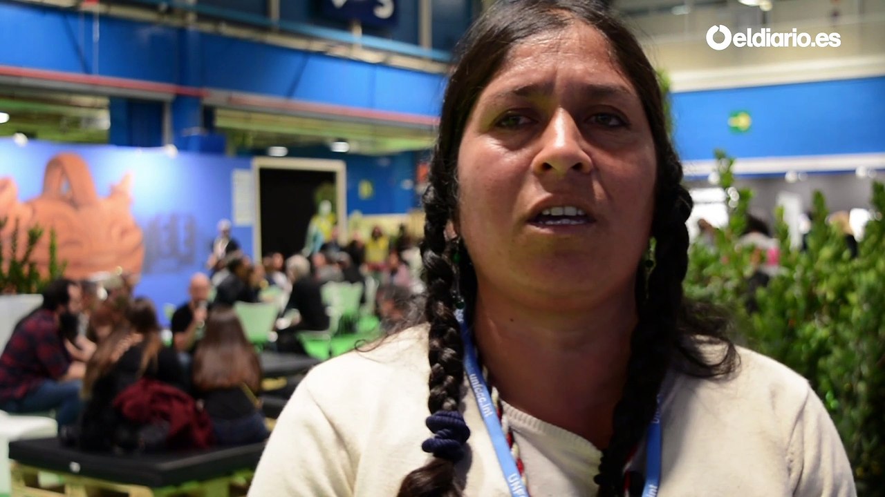 Las reivindicaciones de los pueblos indígenas chilenos en la COP25