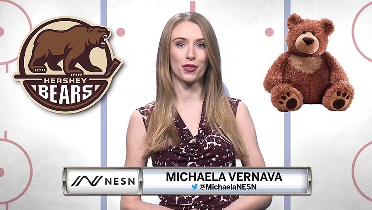 The Hershey Bears Set A New Record In Teddy Bear Toss Night