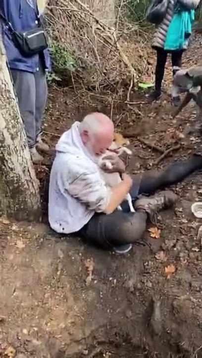Un moment rempli d'émotions entre un chien perdu et son maître