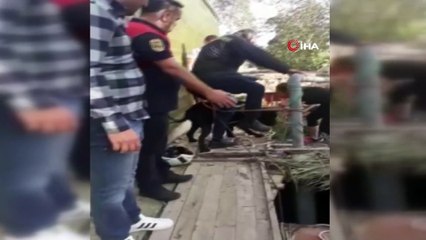 Kuyuya düşen köpeğini kurtarmak isterken kuyuda mahsur kaldı