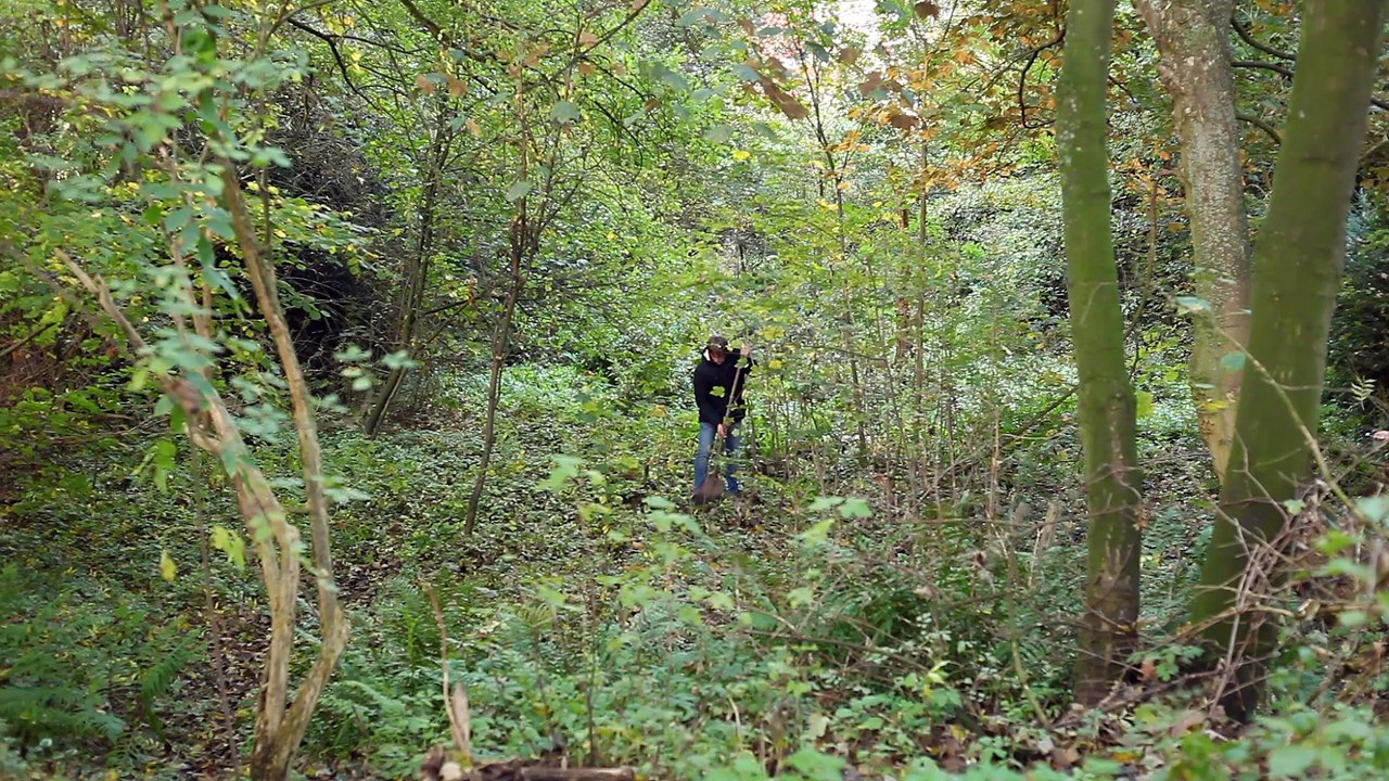 Le voisin