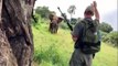 Ce guide de safari stoppe un éléphant d'un simple geste
