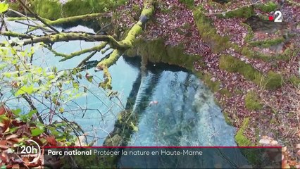 Haute-Marne : un parc national pour protéger la nature