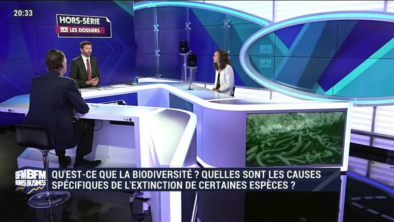 Hors-Série Les Dossiers BFM Business : la finance utile en actions - samedi 30 novembre