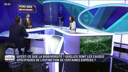 Hors-Série Les Dossiers BFM Business : la finance utile en actions - samedi 30 novembre