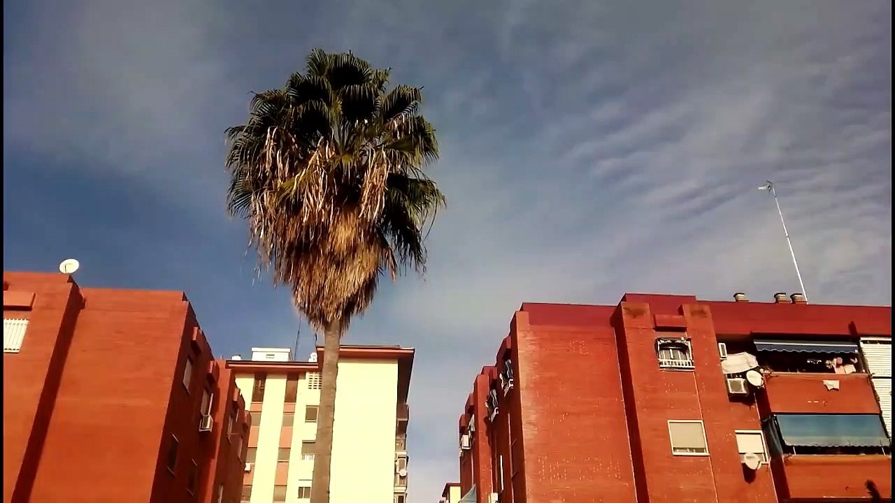 2019-11-19 Ataque total... otra vez
