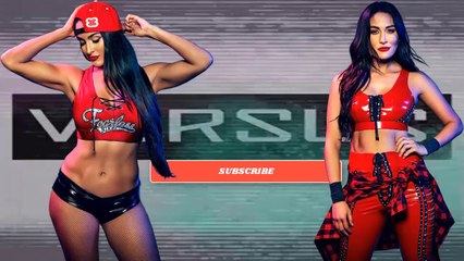 nikki bella vs brie bella