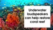 Underwater loudspeakers can help restore coral reef | OneIndia News