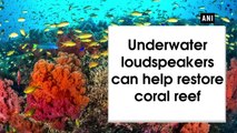 Underwater loudspeakers can help restore coral reef | OneIndia News