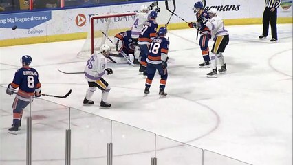 Wilkes-Barre/Scranton Penguins 5 - Bridgeport Sound Tigers 2