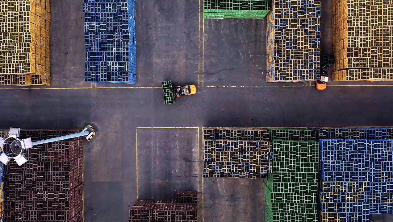 ALKOHOL DER GLOBALE RAUSCH Film