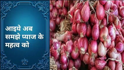 आइये अब जाने प्याज के महत्व को || Now we should Understand importance of onion