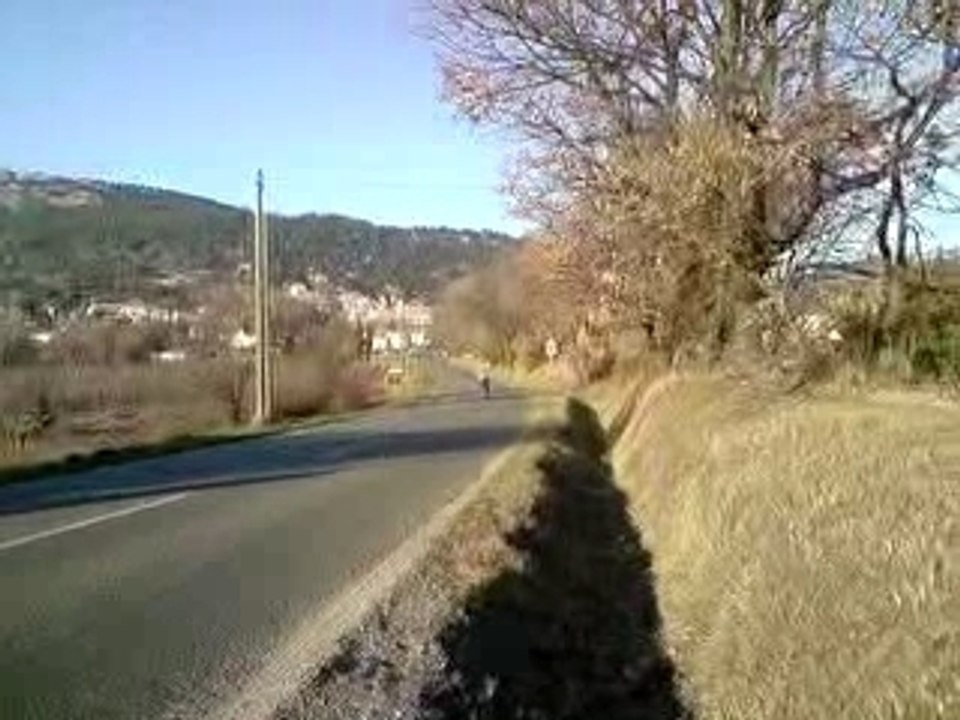 top rose stock pvl mhr 21 ...