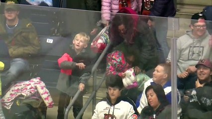 Highlights: Blades (3) at Tigers (5)