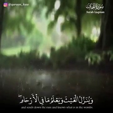 تلاوة رائعة __ إن الله عنده علم الساعة __ حالات واتس قرأن __ Quran Status