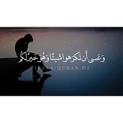 تلاوة رائعة __ و عسى أن تكرهوا شيئاً و هو خير لكم __حالات واتس قرأن __ Quran Sta