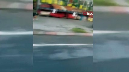 Halk otobüsü ile şoförün kıskandıran dostluğu