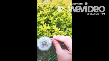 top tik toks that radiate the same energy as vines Compilation