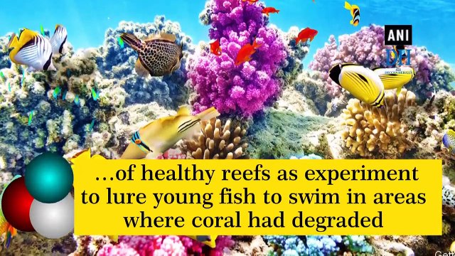 Underwater loudspeakers can help restore coral reef