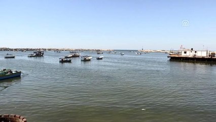 Gazze'deki balık pazarında yıllardır kadın sesi yankılanıyor