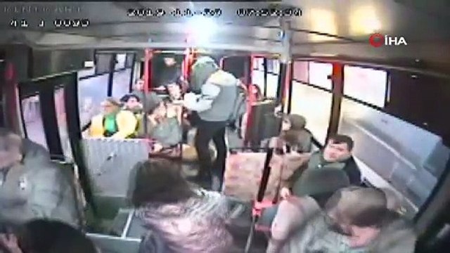 Halk otobüsüne binen sokak köpeği yolcuların maskotu oldu