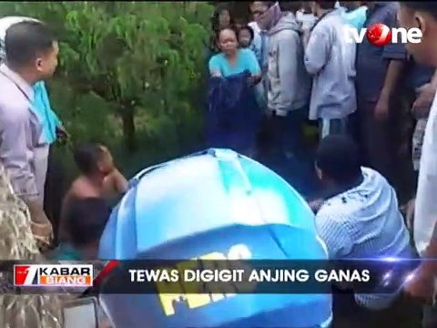 Pria Tewas Mengenaskan Diserang Anjing Rottweiler