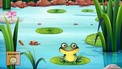 4 Küçük Kurbağa Şarkısı Bir Arada