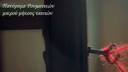 Insectarium - promo video