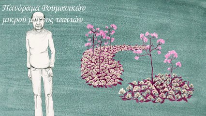 Garden&Schnaps - promo video