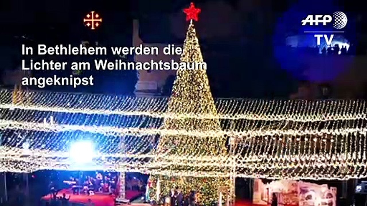 Weihnachtsbaum in Bethlehem: Zauberhafter Lichterglanz