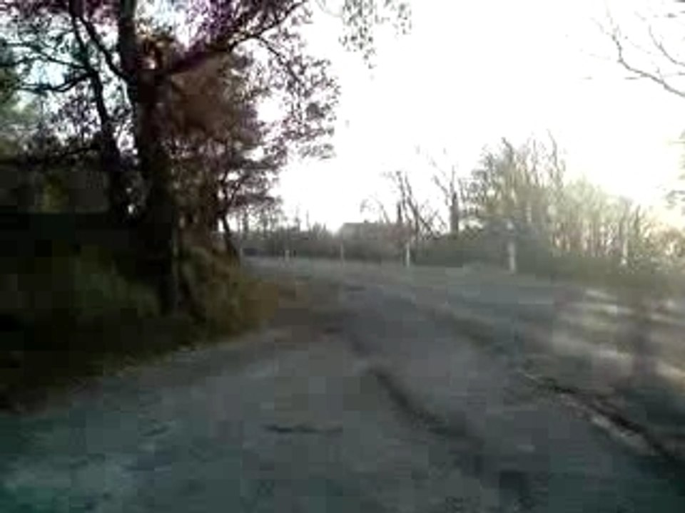 top rose stock pvl mhr 21...