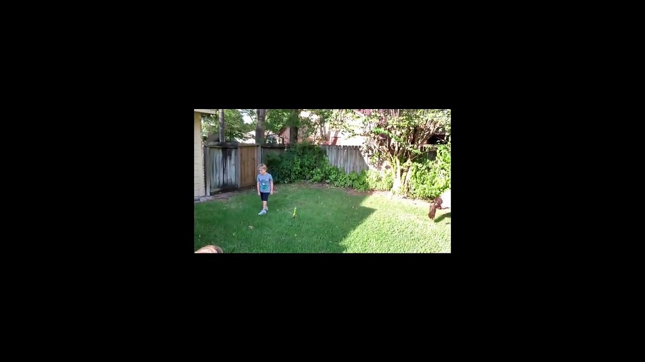 Vídeos de risa 2019 nivel DIOS extremo si te ríes pierdes - Caídas graciosas / Laughing videos 2019  Extreme GOD level if you laugh you lose - Funny falls