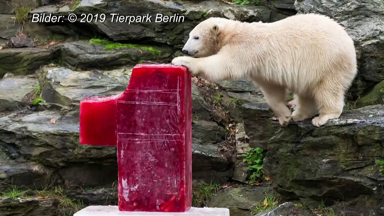 Happy Birthday Hertha!