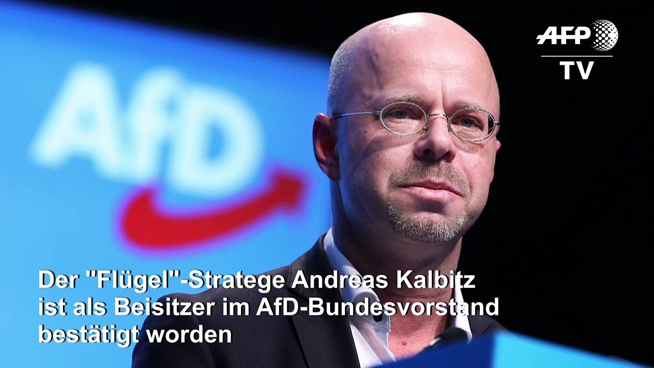Afd-"flügel"-stratege kalbitz als beisitzer im bundesvorstand bestätigt