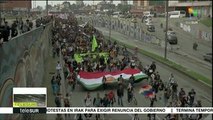 teleSUR Noticias: Dele. denuncia asedio por gob. de facto en Bolivia