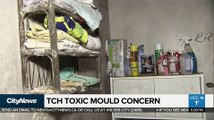Returns from vacation to find toxic black mould in apartment unit