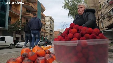 Terremoto Albania, concluse le ricerche, bilancio ufficiale: 51 vittime