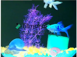 Language Nursery in G Major [Part 2]