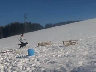 Balto entrainement