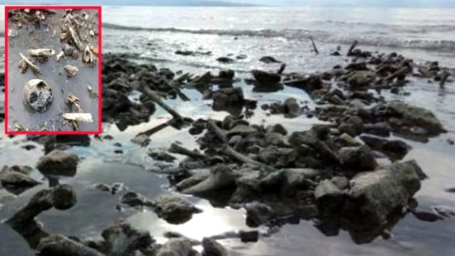 Van Gölü'nde sular çekilince kafatası ve kemikler ortaya çıktı