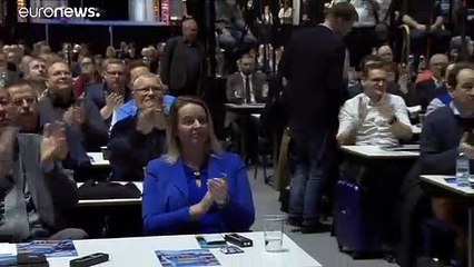 Meuthen gegen den Flügel: Wer setzt sich bei der AfD durch?