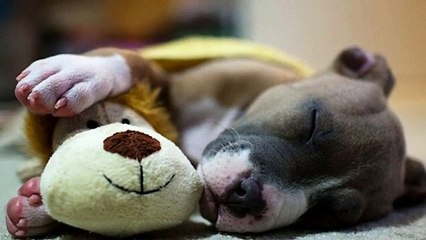 8 Descobertas estranhas sobre os Sonhos