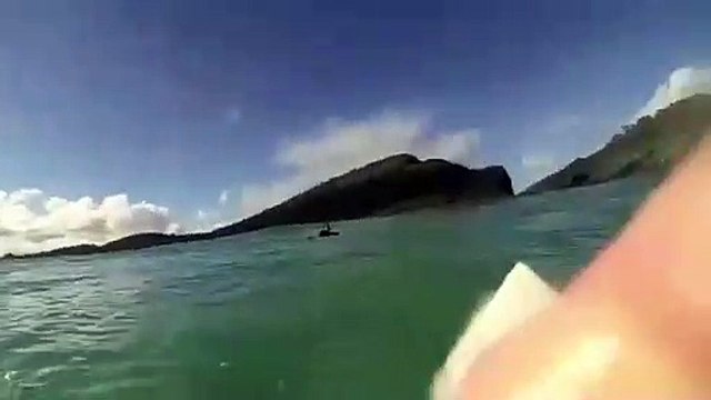 Ce surfeur croise la route d'un gros requin en prenant une vague