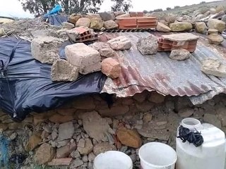 هنا كانت تعيش الطفلة #مها_القضقاضي الله يرحمها 