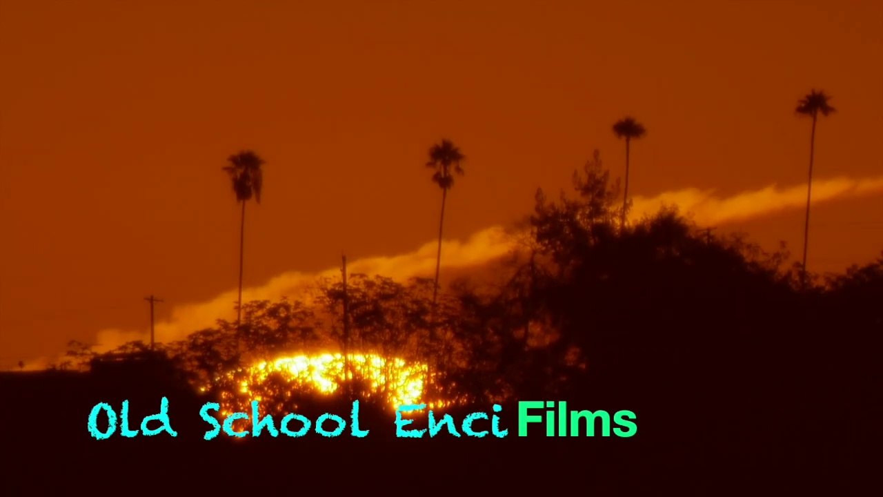 Back in Encinitas